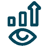 vision-icon